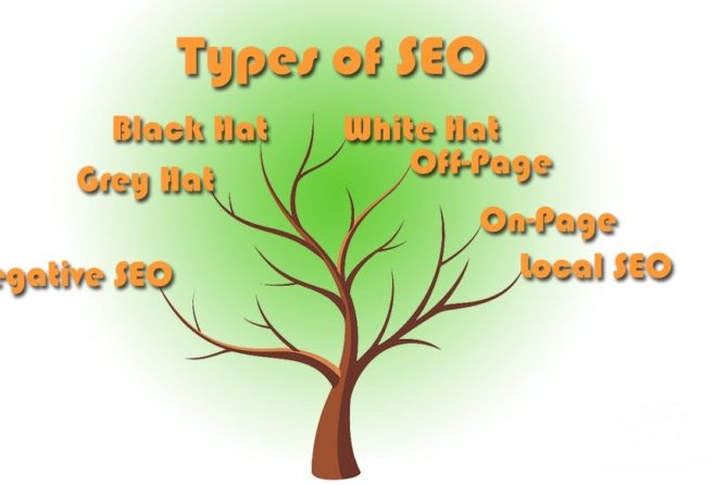 Types of SEO