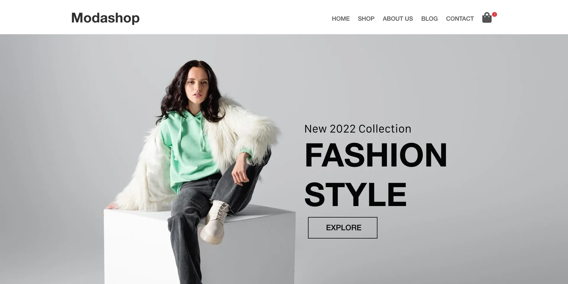 Fashion style store expert shopify consulting services
