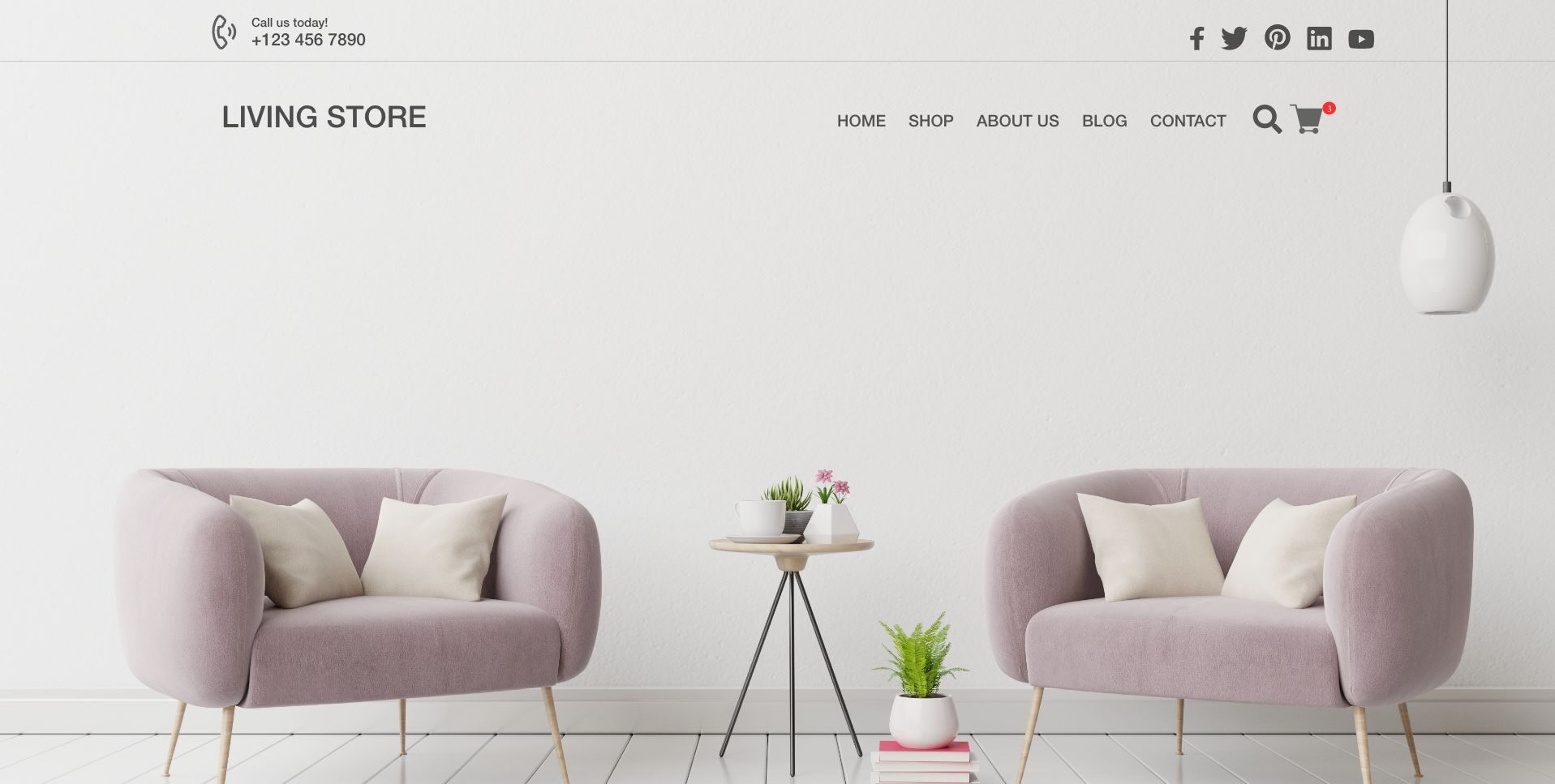 Furniture Store Website Design