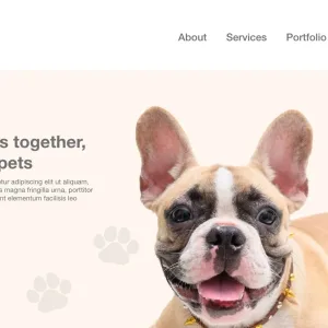 Pet Shop store expert shopify consulting services