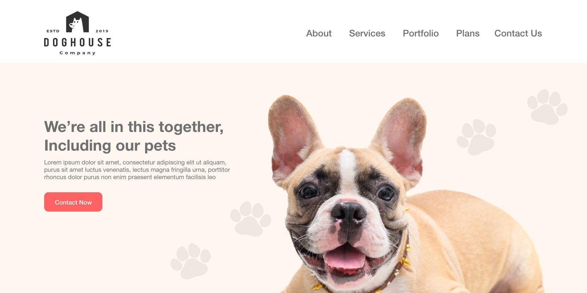 Pet Shop Website Design