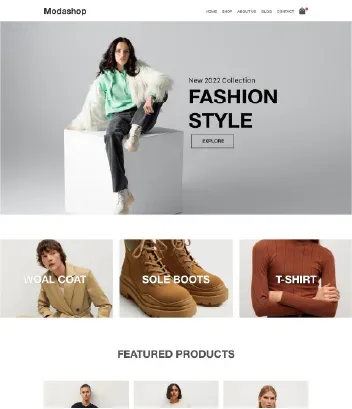 women's clothing store Shopify expert