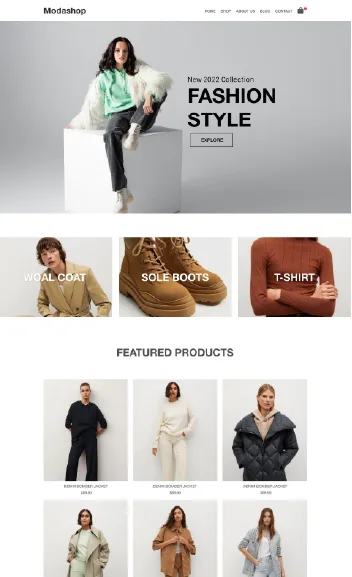 clothing store Shopify expert