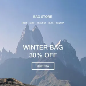 Bags for Every Adventure store expert shopify consulting services
