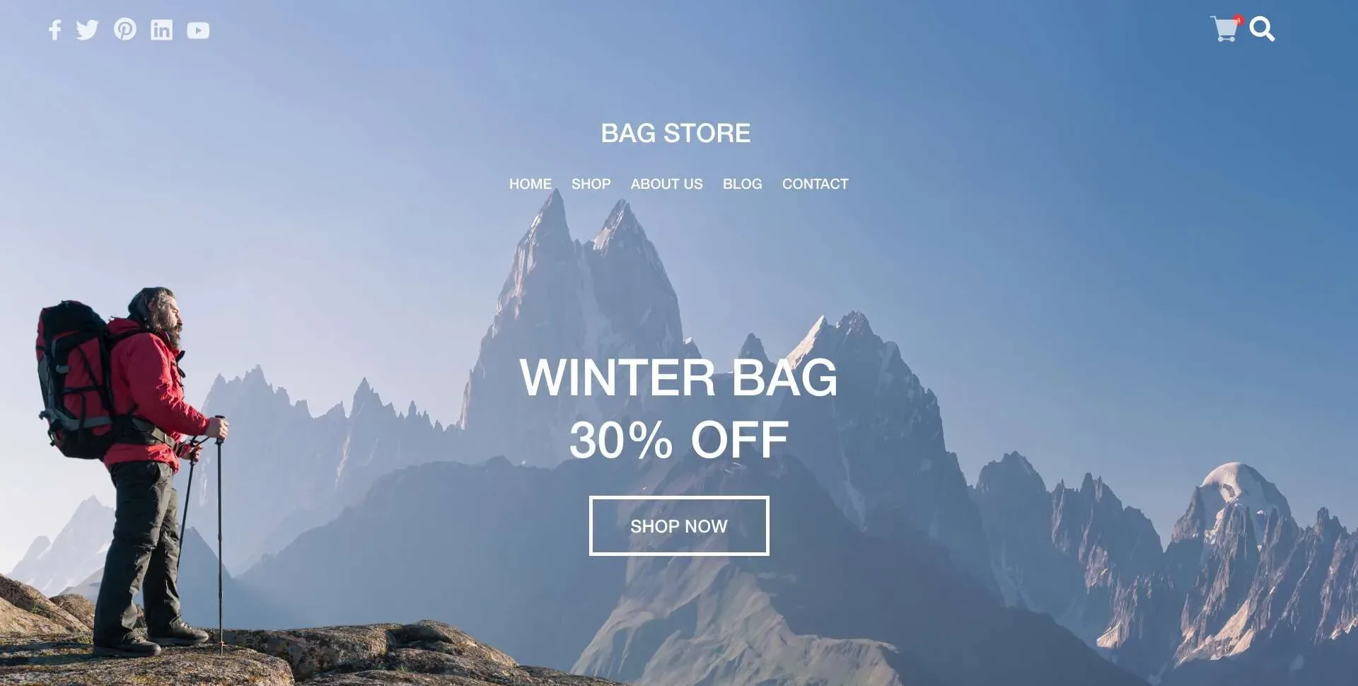 Bags for Every Adventure store expert shopify consulting services