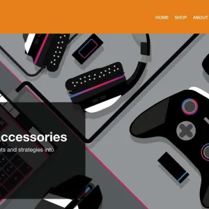 Gaming & Accesories store expert shopify consulting services