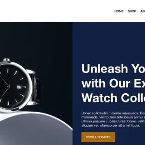 Men's Watches store expert shopify consulting services