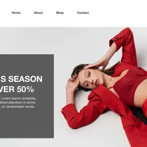 Women's Clothing store expert shopify consulting services