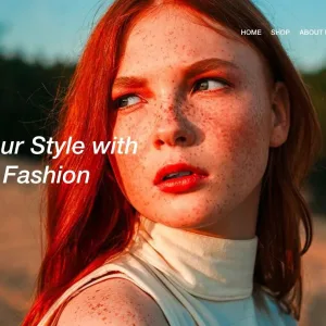 Women's Wear store expert shopify consulting services